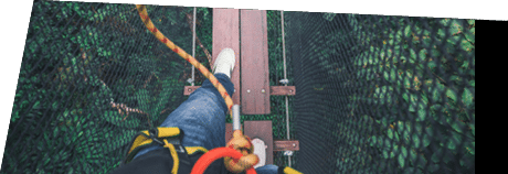 Walking legs and feet on wooden bridge with safety tools and surrounded by black net. Under bridge is tropical evergreen forest.